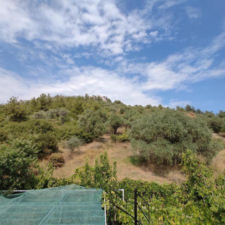 Elpida Apartment Λιμένας Εξωτερικό φωτογραφία