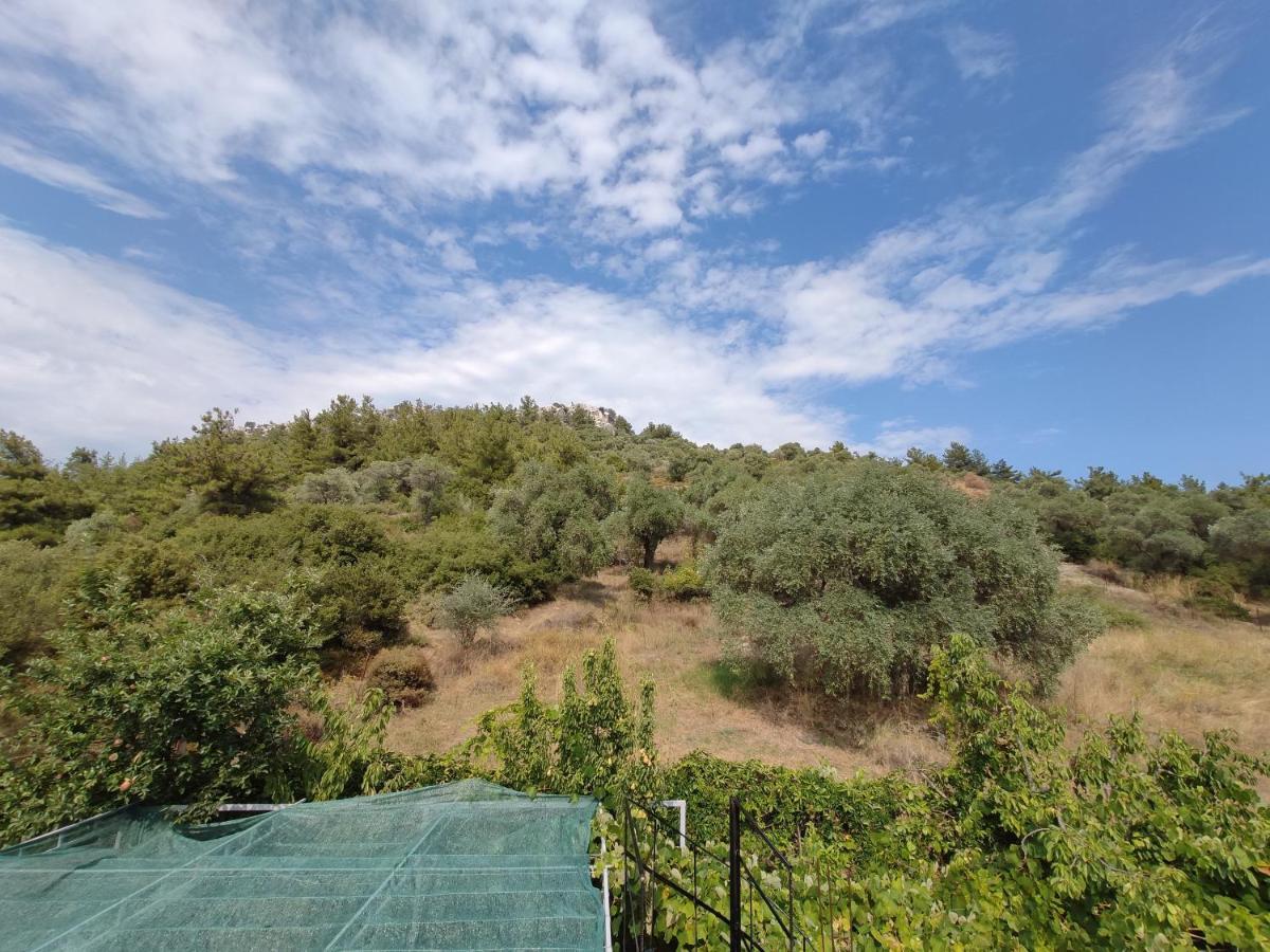 Elpida Apartment Λιμένας Εξωτερικό φωτογραφία